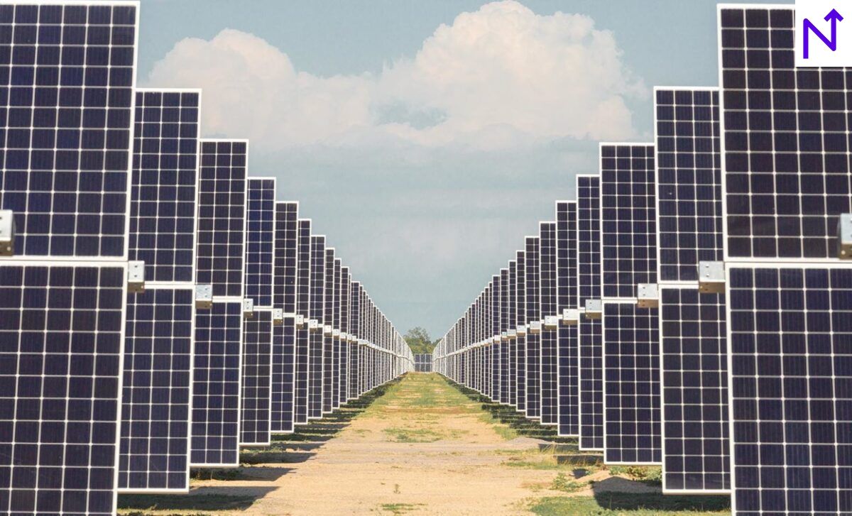 India's Renewable Energy Sector Sees 15.84% Growth in 2024
