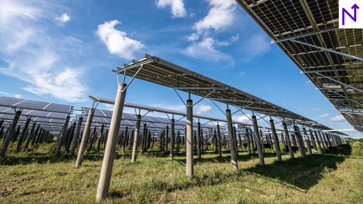 Borosil Renewables to Raise Rs 700 Crore Through Preferential Issue