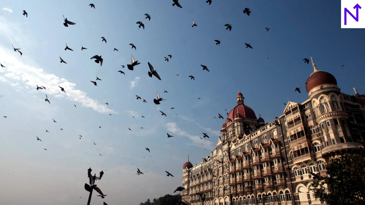 Branded Hotels Set for Double-Digit Revenue Growth