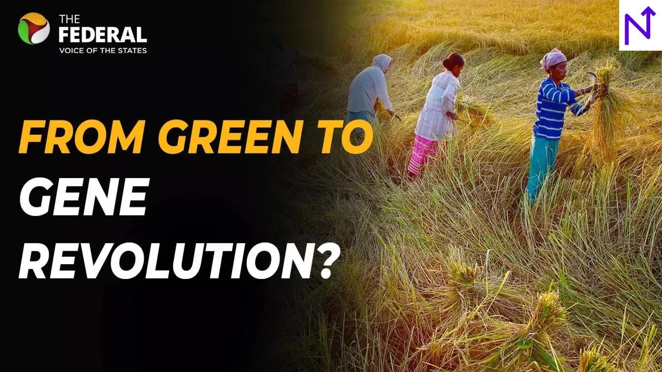 India's Gene-Edited Revolution for sustainable Rice cultivation