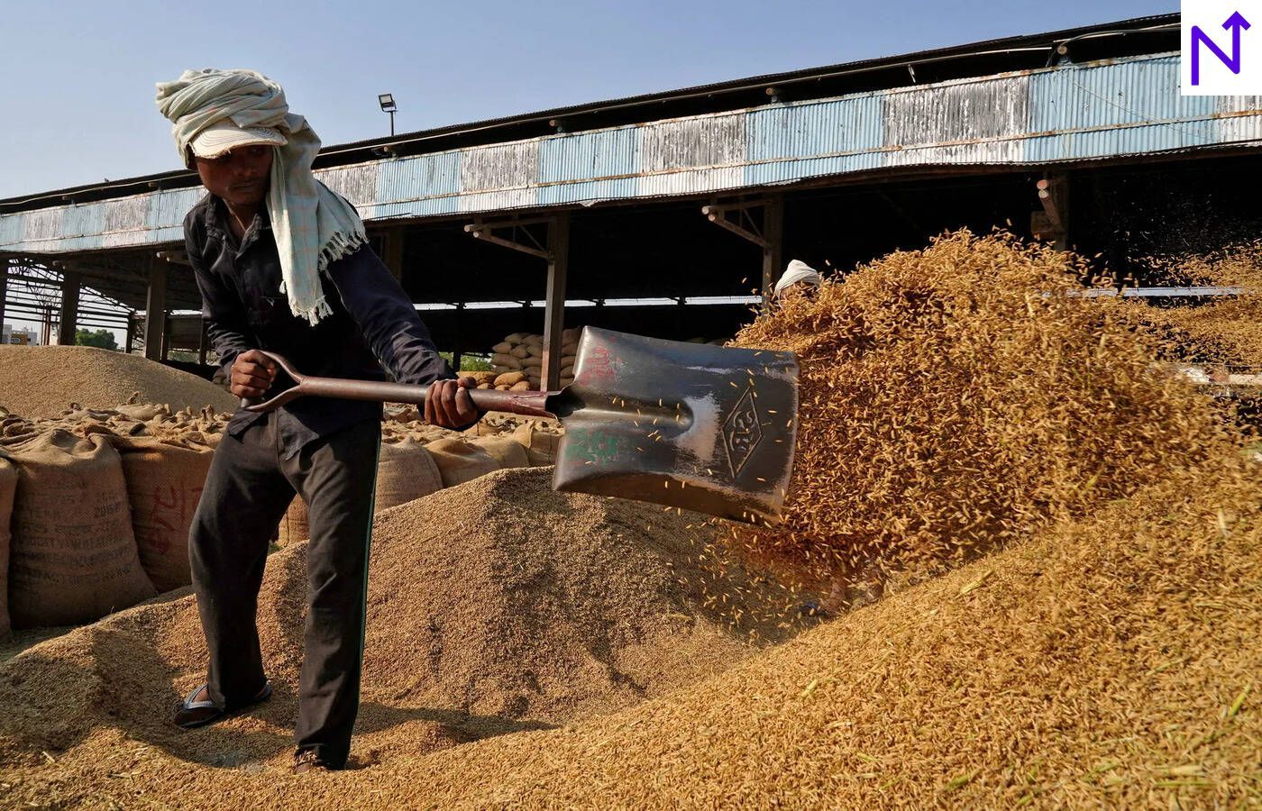 India Allocates Record Rice for Ethanol Production
