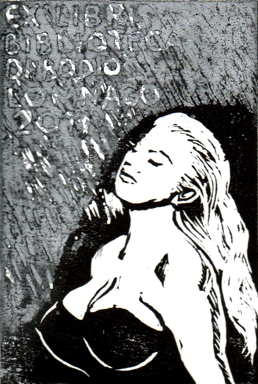 Exlibris Biblioteca di Bodio Lamnago 2011