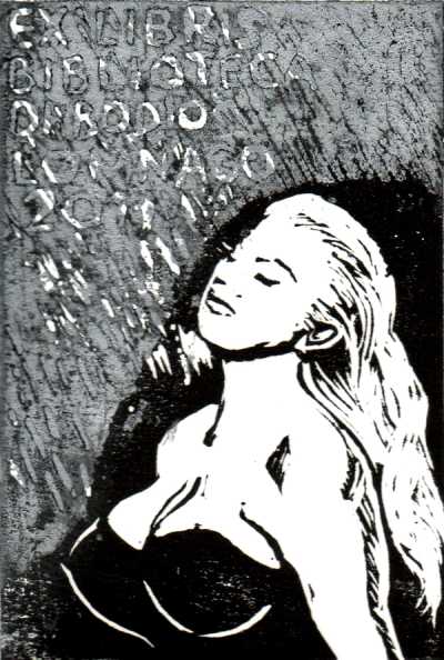 Exlibris Biblioteca di Bodio Lamnago 2011