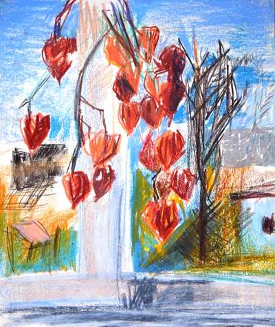 View from the window