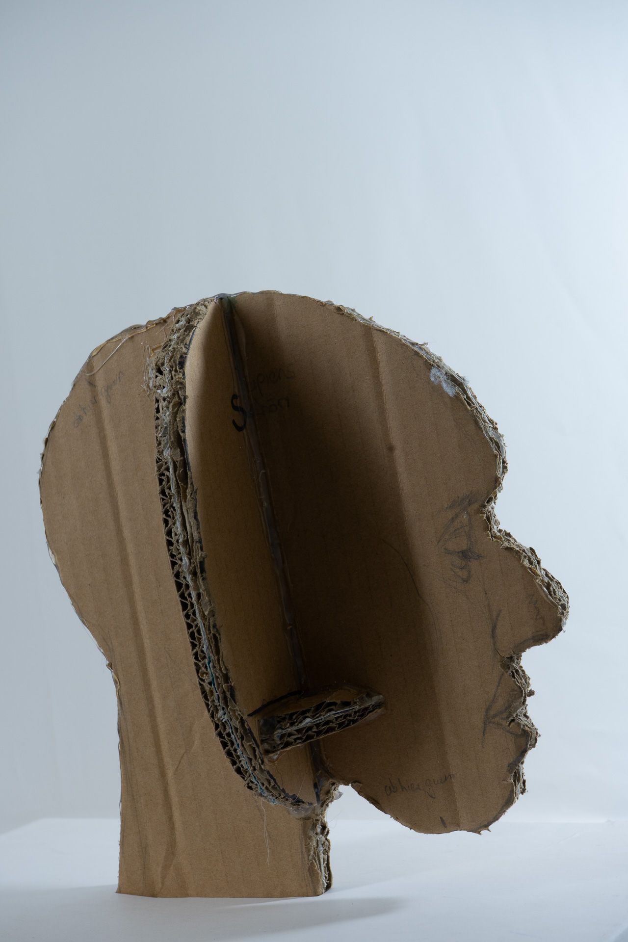 Kopfstudie