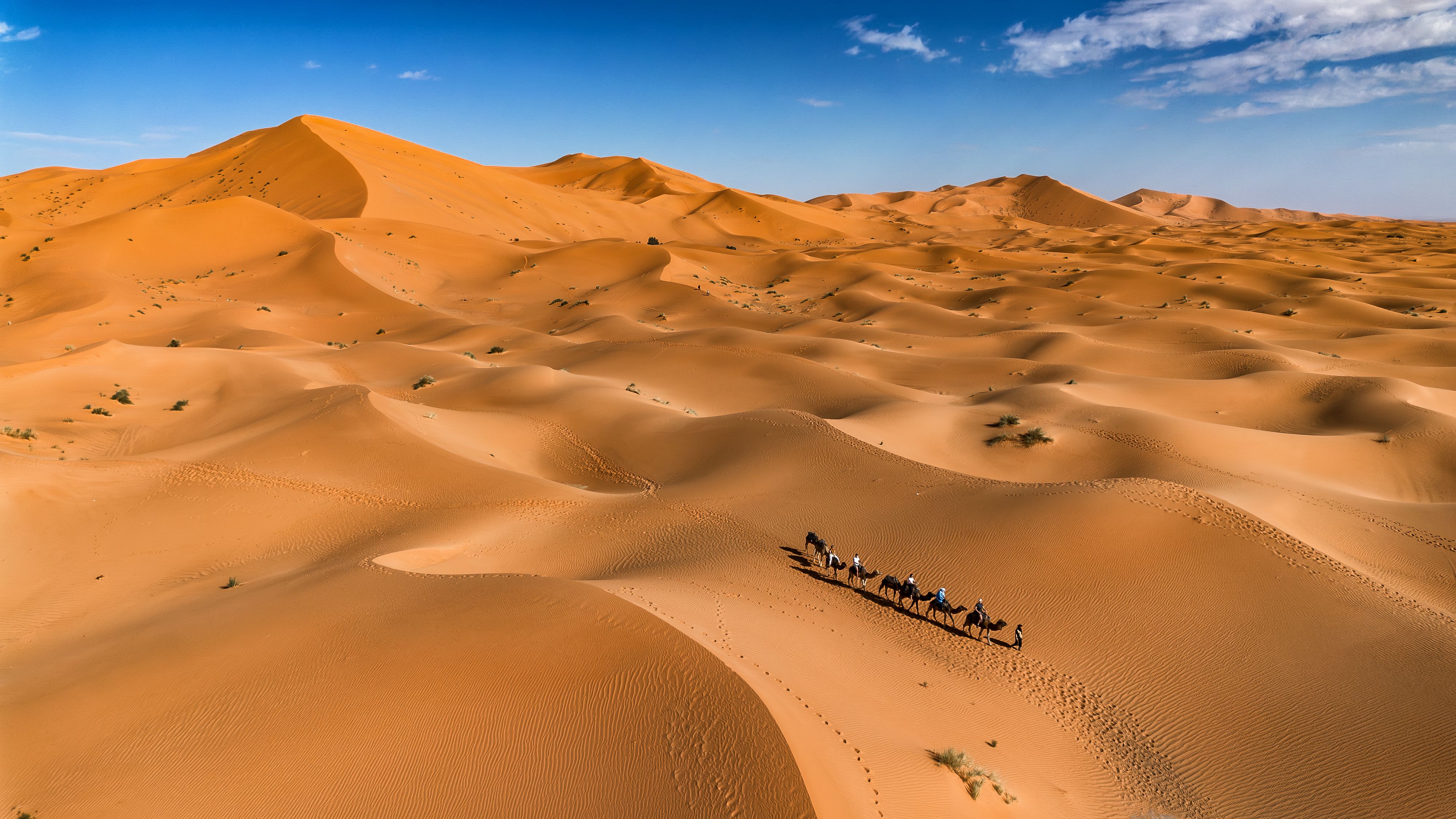 Morocco sahara desert camel ride drone 