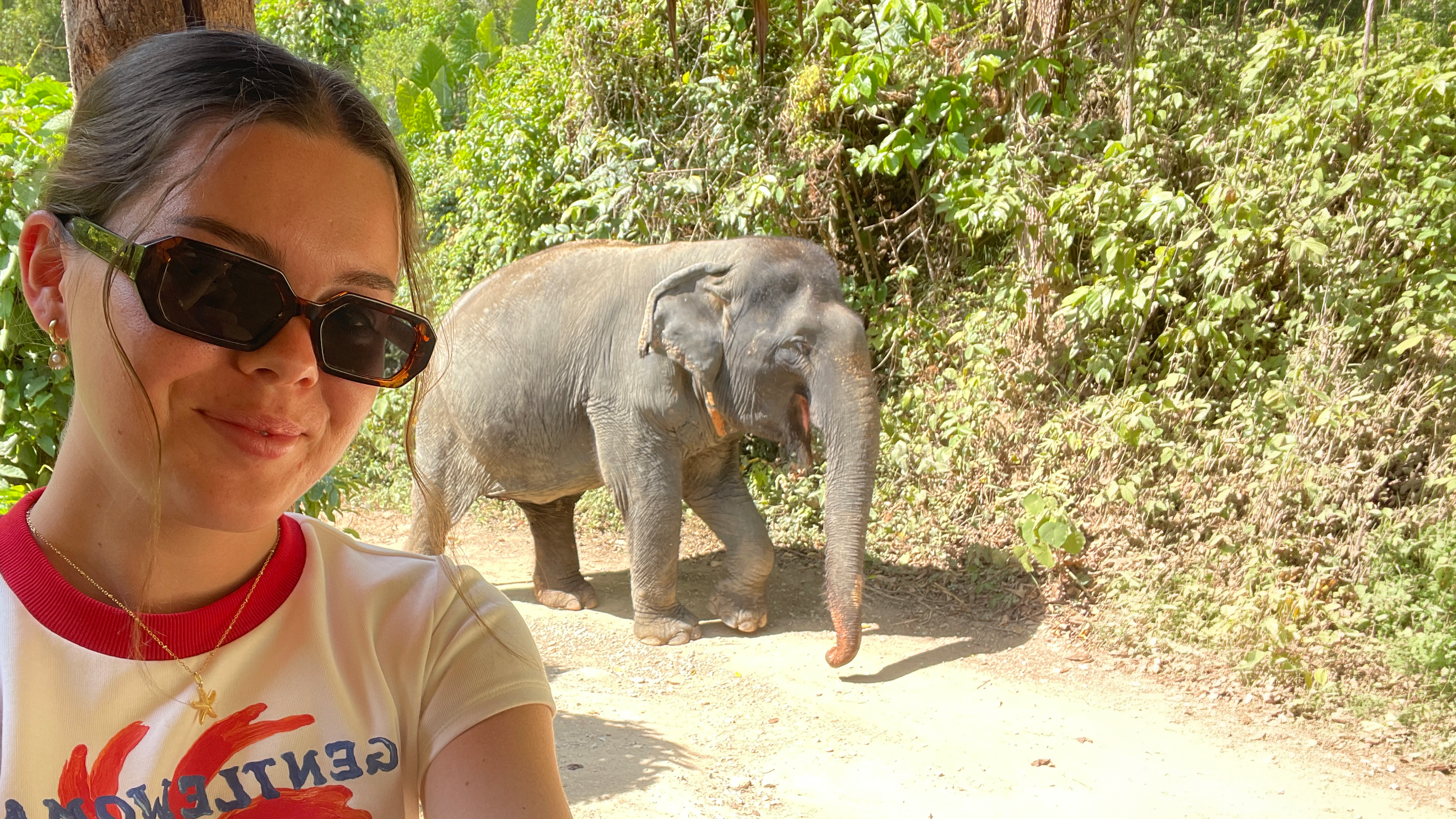 INTRO Travel Thai Experience Group Tours Elephants