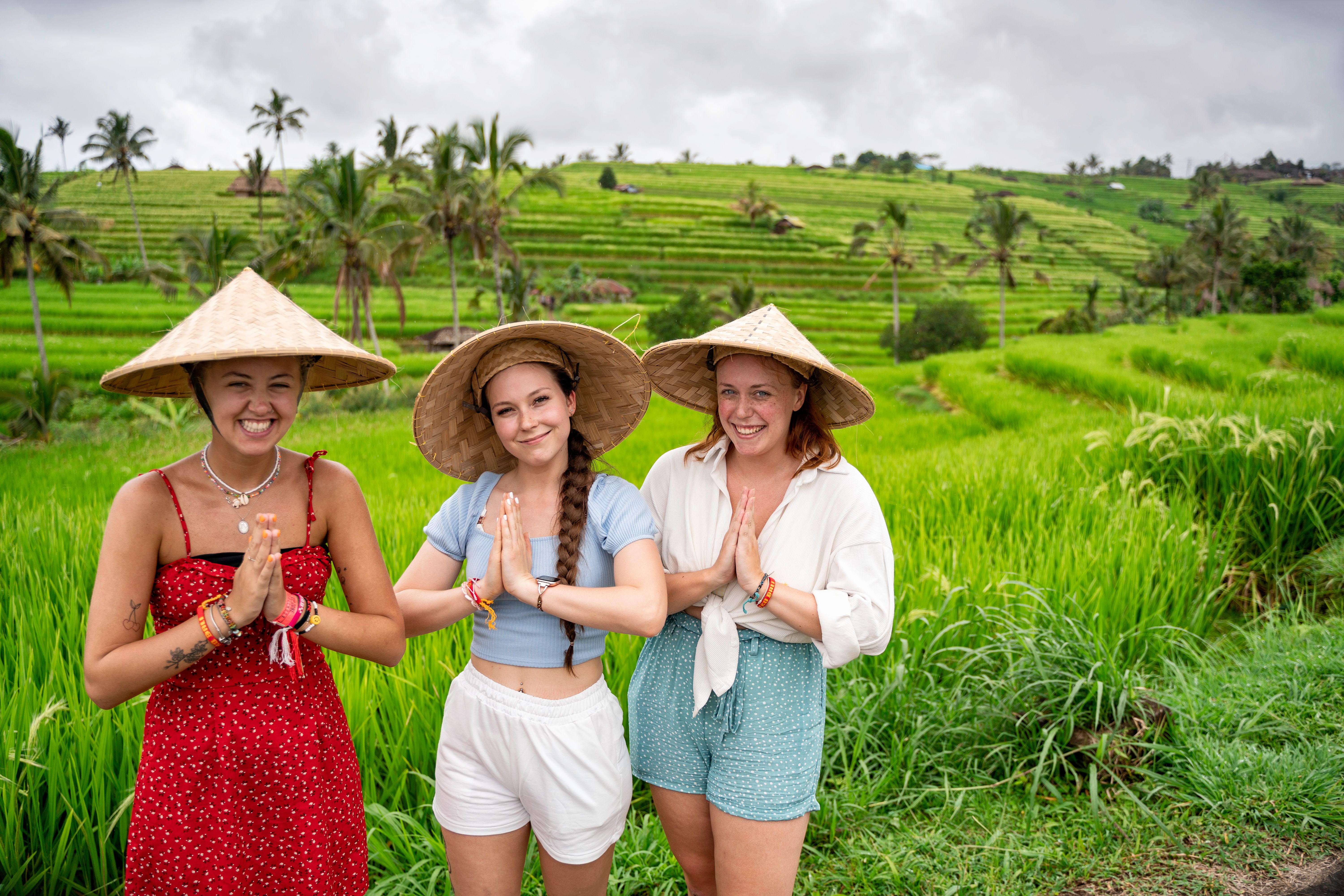 Bali rice paddies 