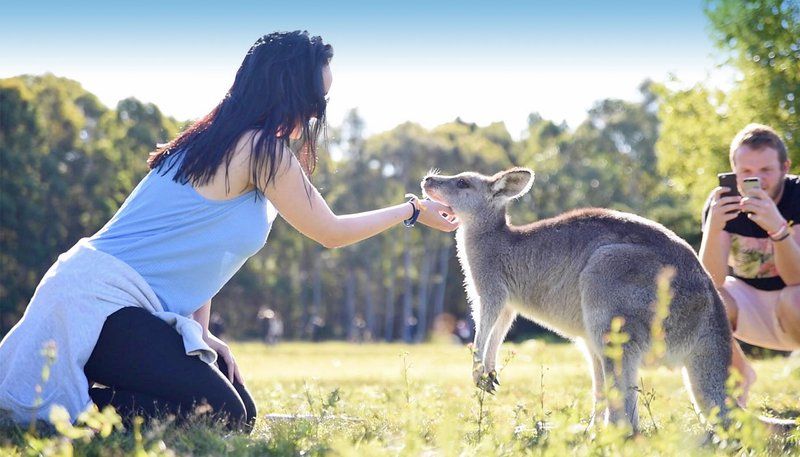Scuba Diving group in Thailand