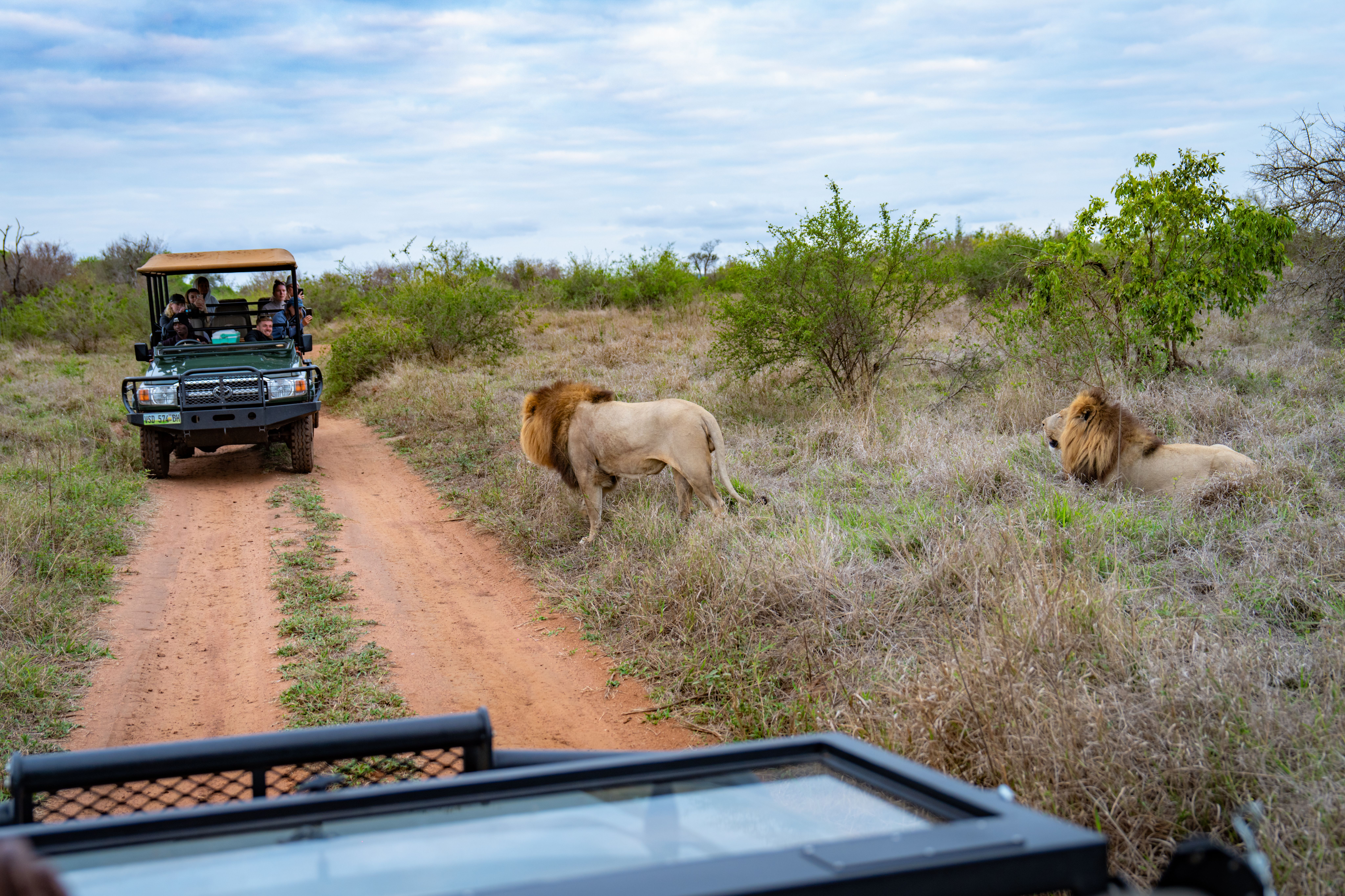 INTRO Travel South Africa Adventure Group Tours