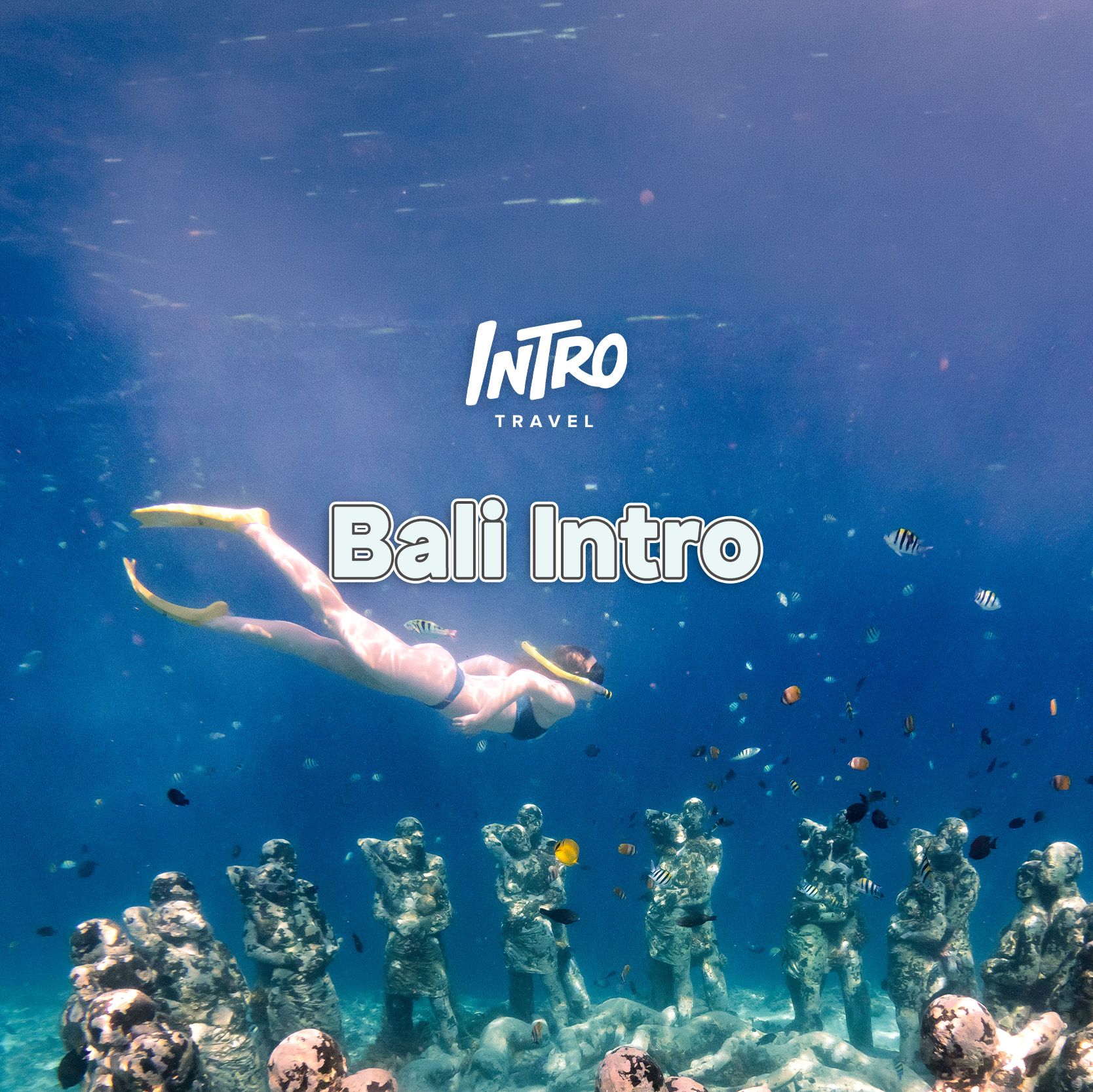 Bali Intro | 9 day Bali group tour