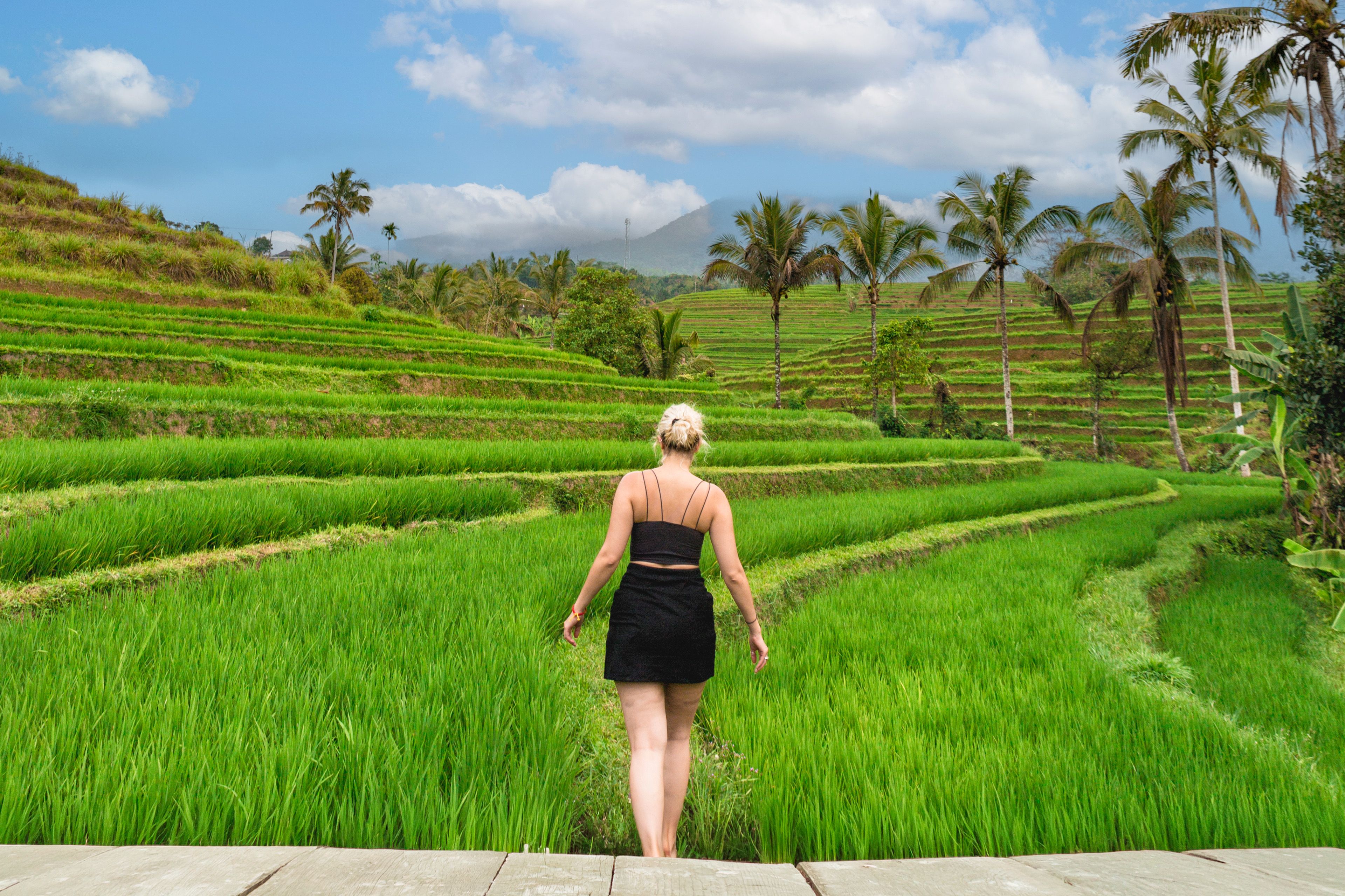 INTRO Travel Bali Experience Group Tours Jatiluwih Rice Paddies