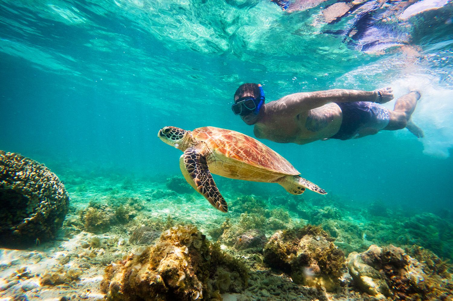 Philippines snorkelling with turtles