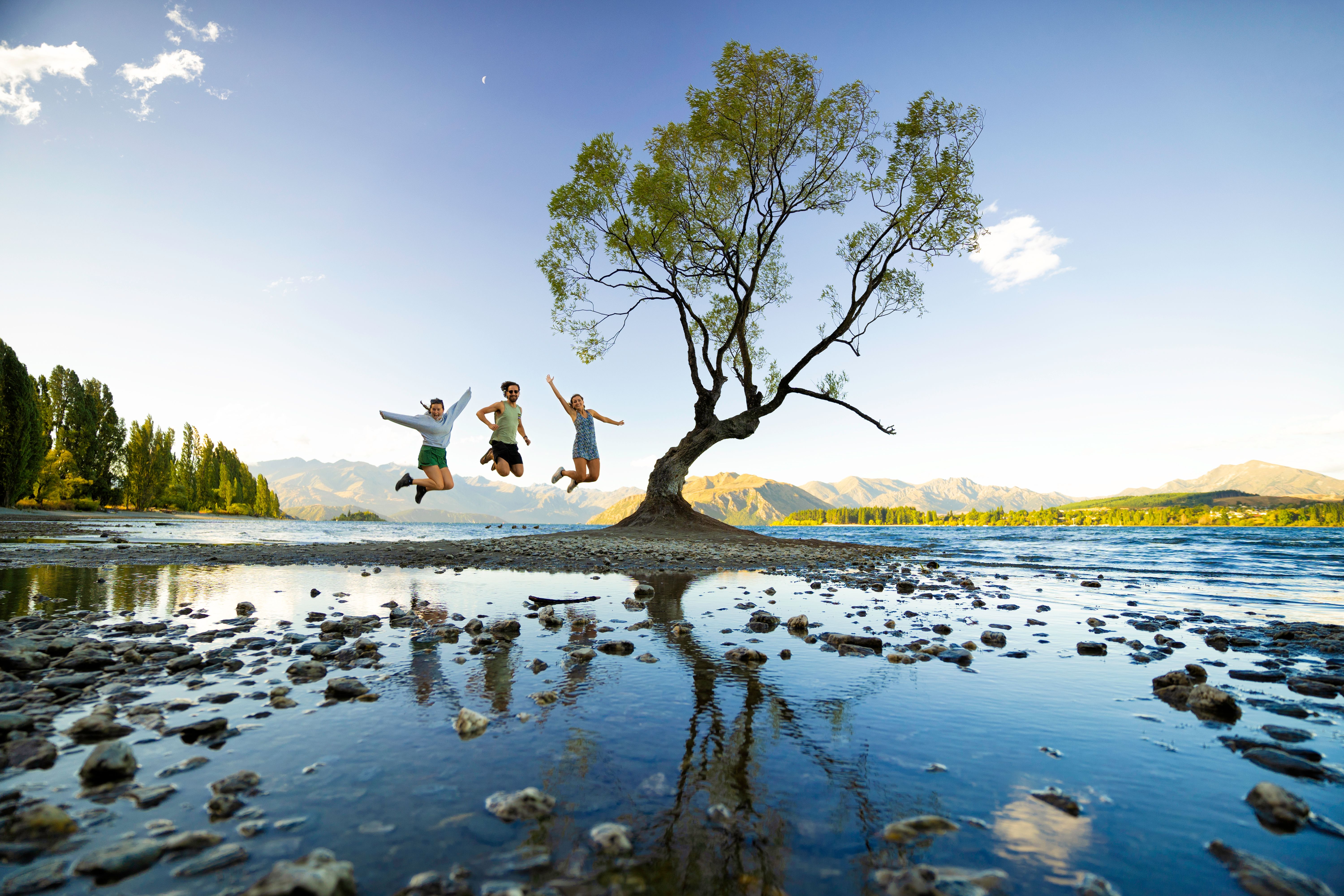 Lake Wanaka group