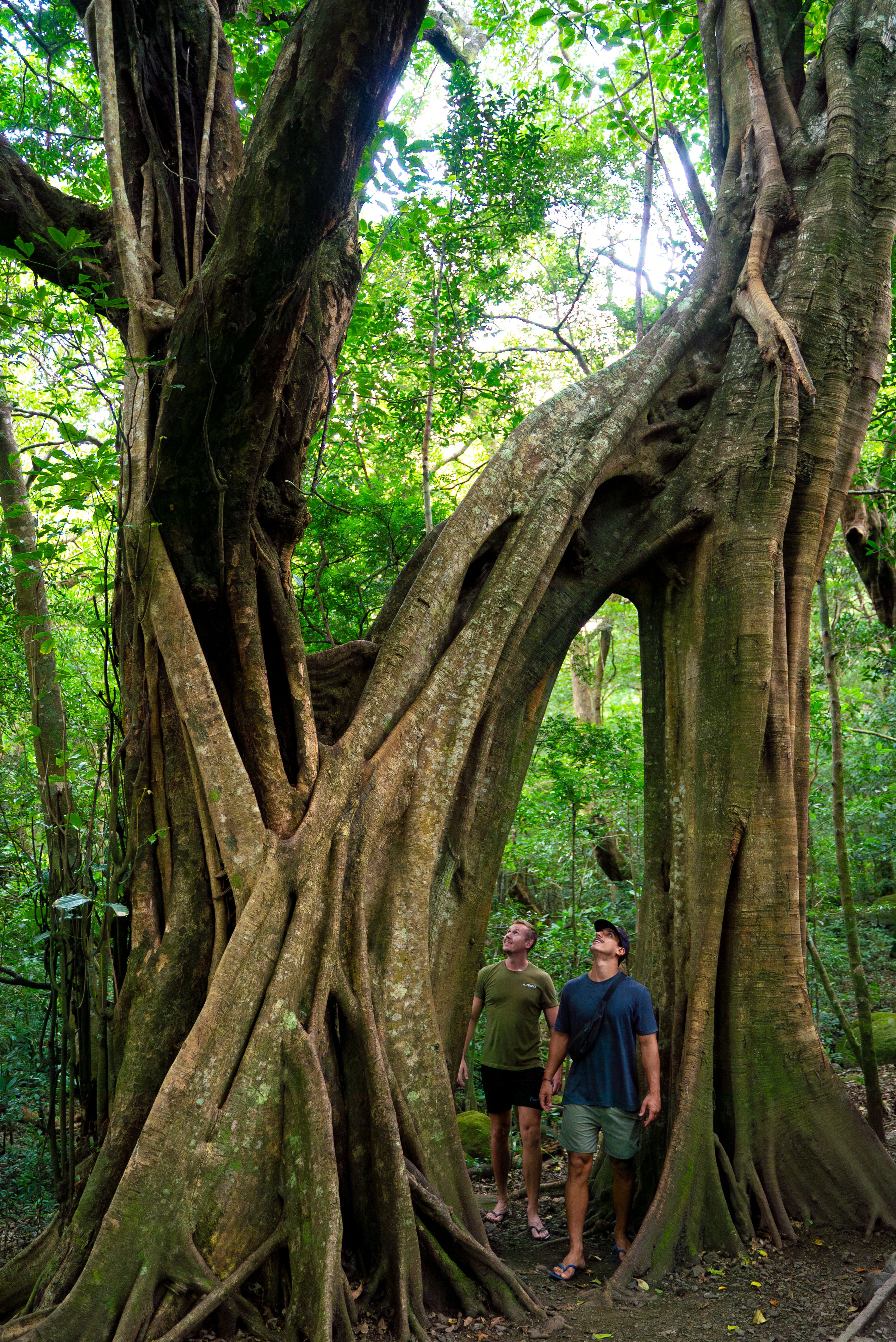 Costa rica rincon de la vieja