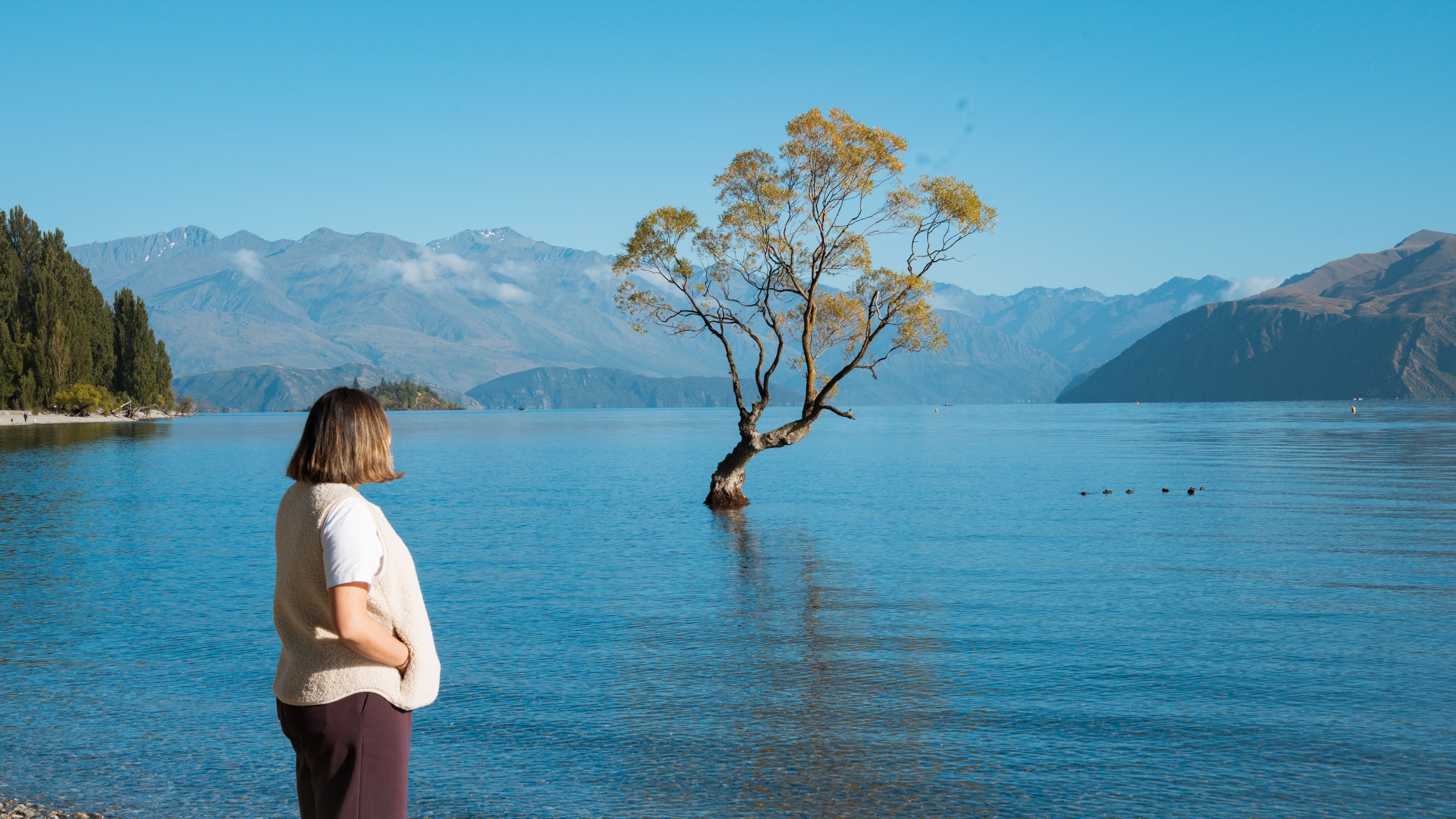 New zealand south island lake wanaka