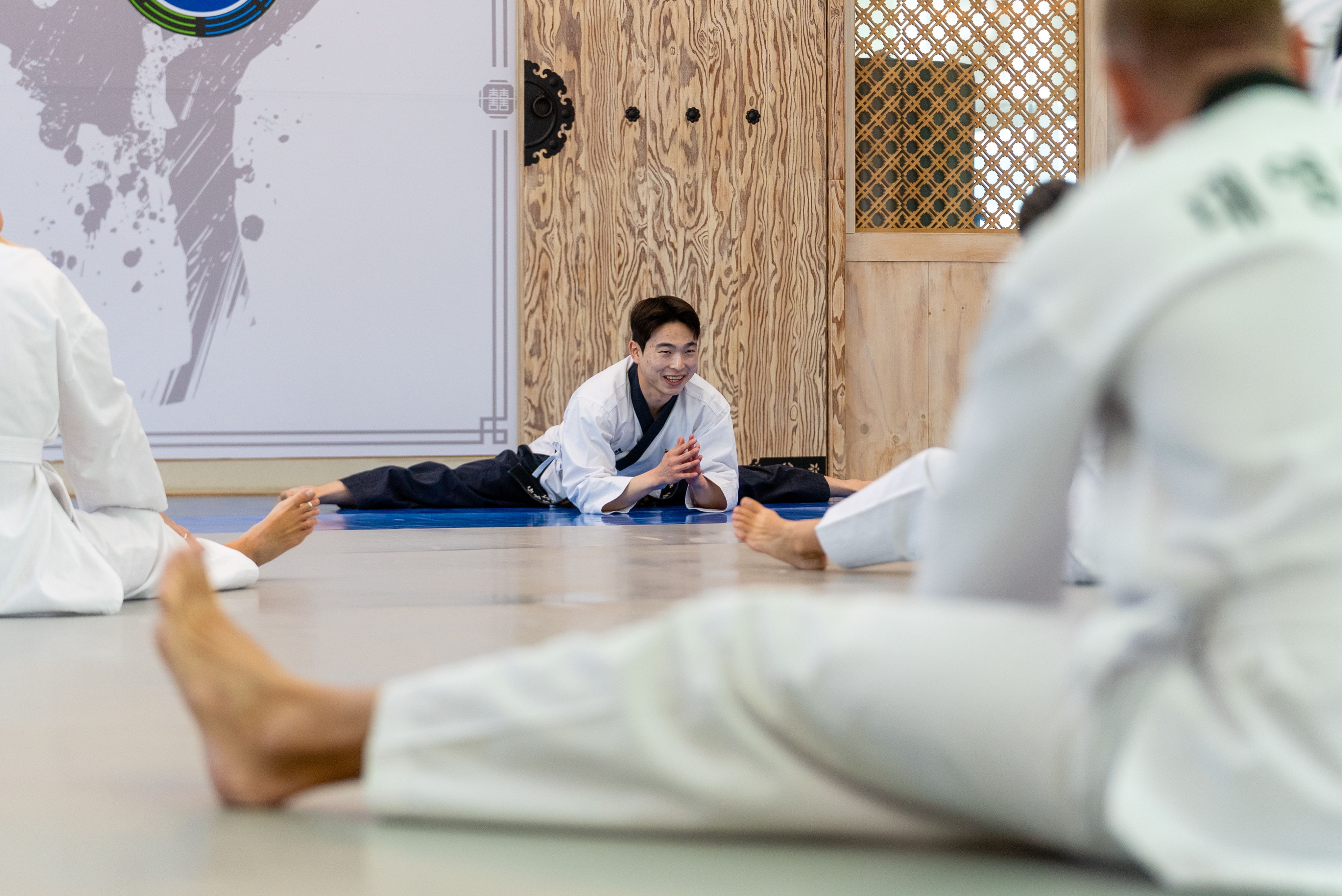 Taekwondo south korea