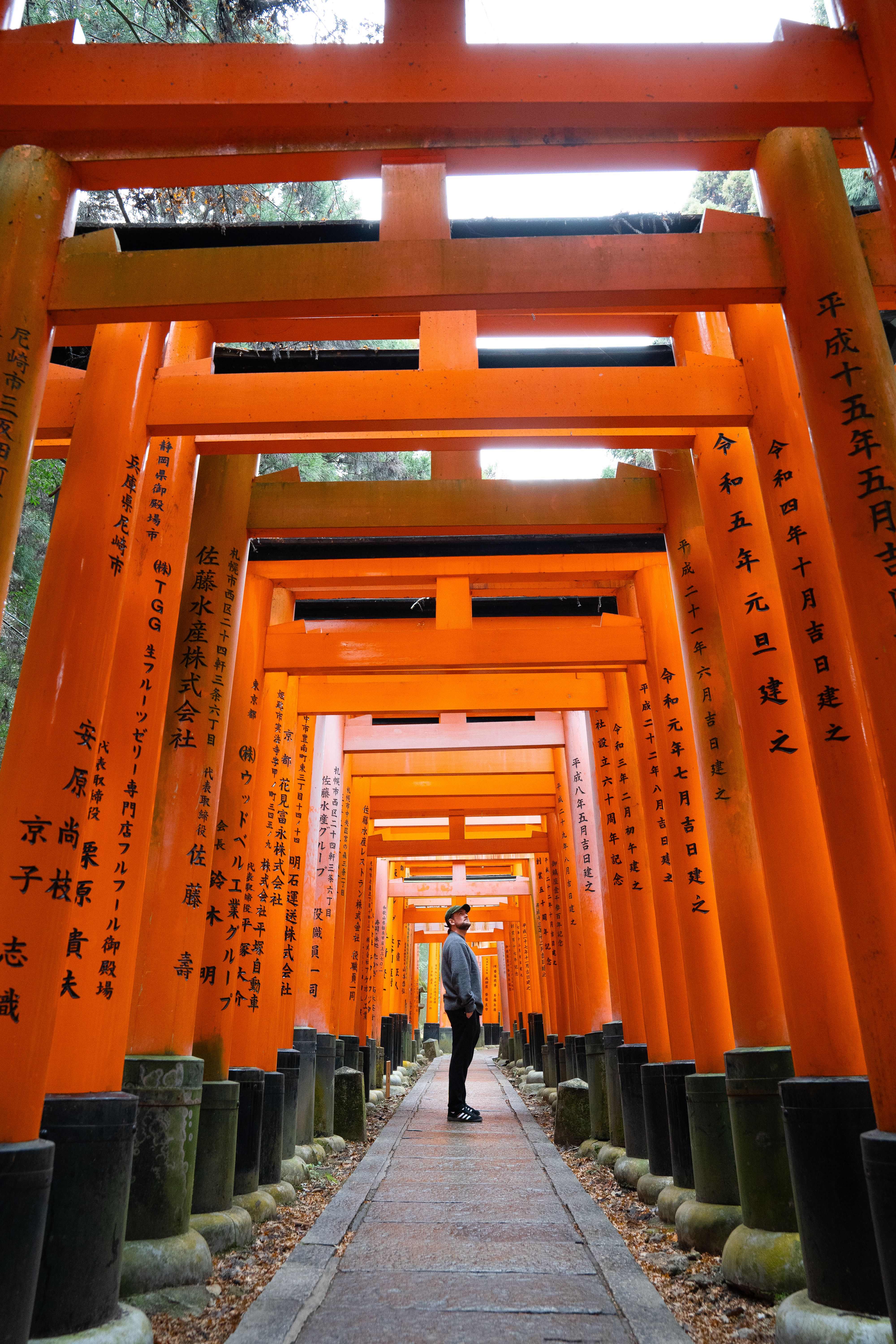 Fushimi Inari Japan