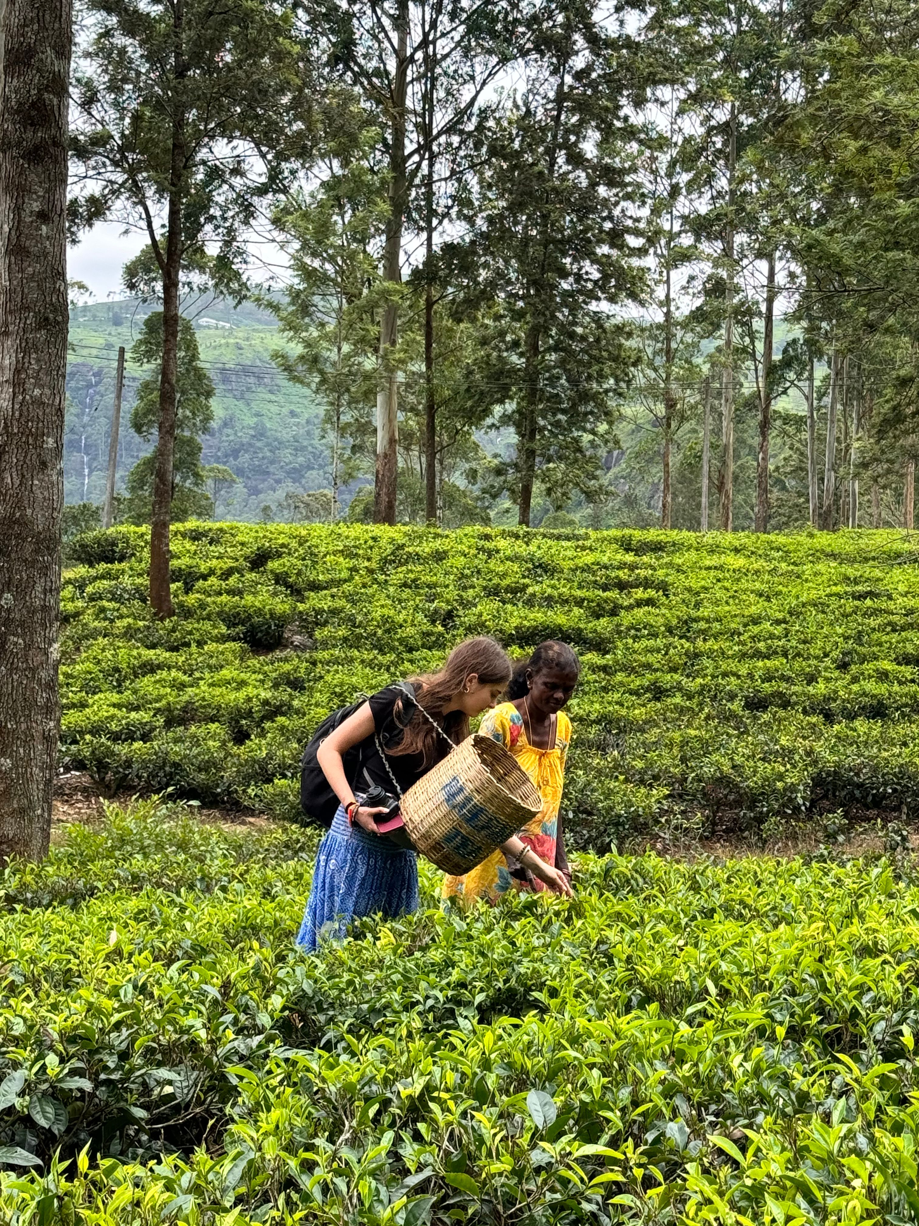 India streets walking