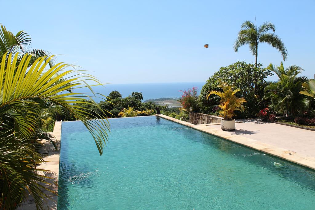 INTRO Travel Bali Experience Lovina