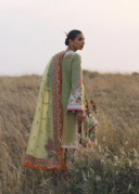 Rang e Bahar (Jinan'26) thumbnail 4