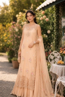 D13 – Blush Peach thumbnail 4