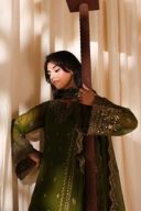 Imperial Olive thumbnail 2