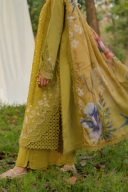 Haya thumbnail 9