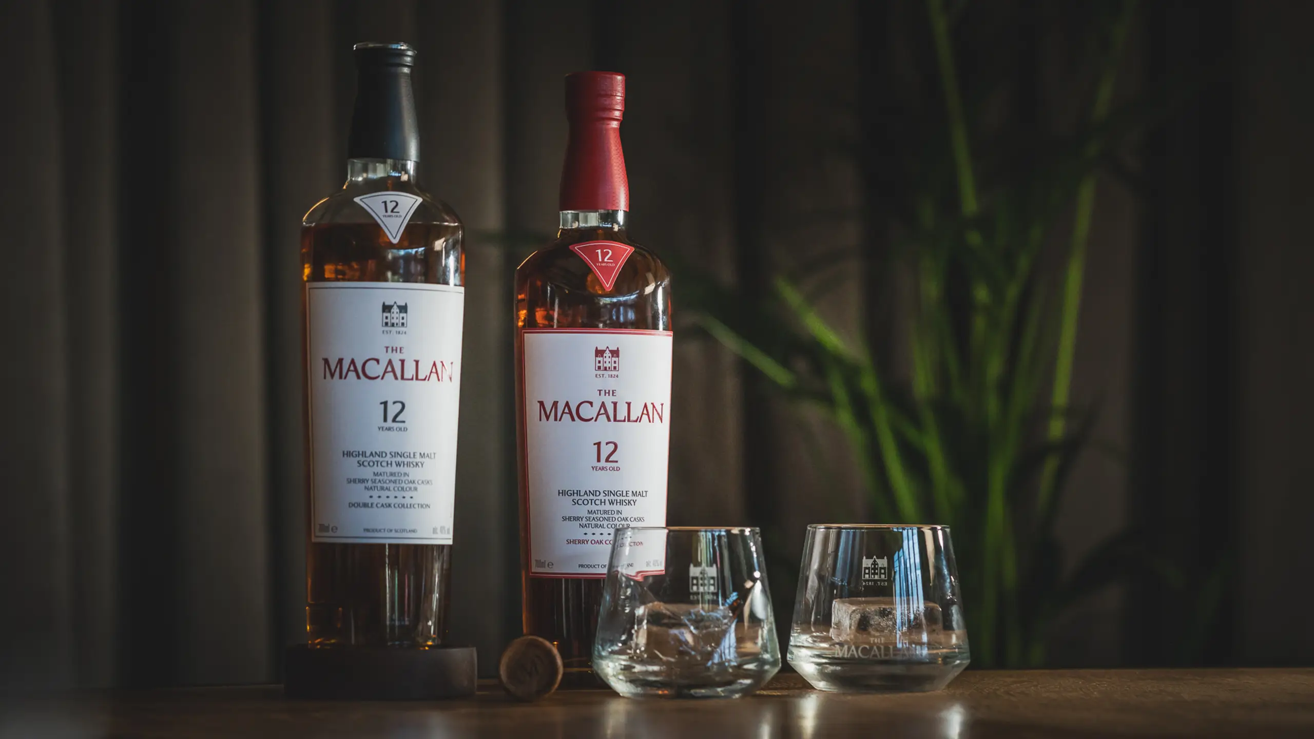 BURNS NIGHT AT MOOR HALL