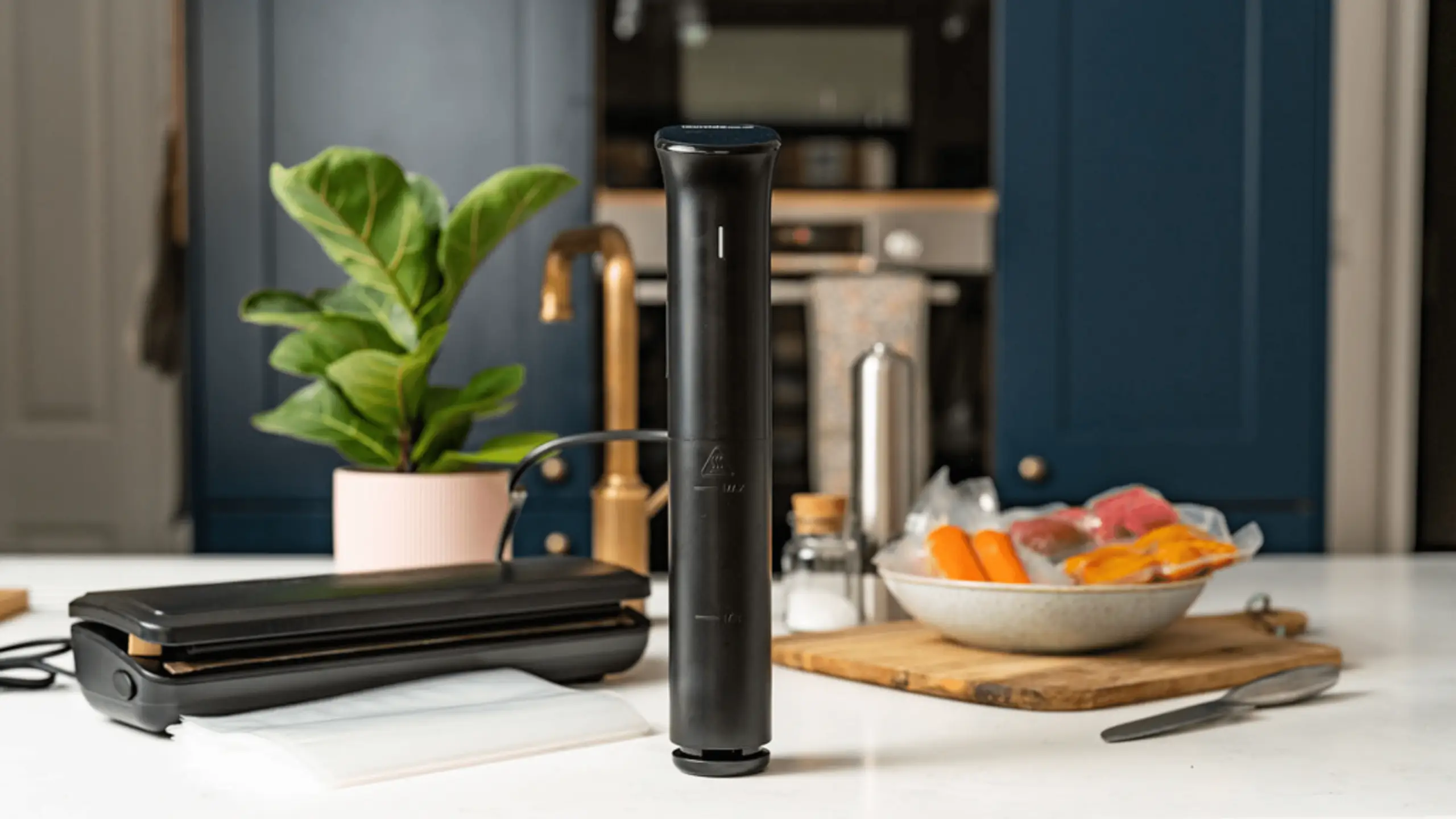 Cooking Sous Vide  From Michelin Starred Tasting Menus to the Kitchen Table