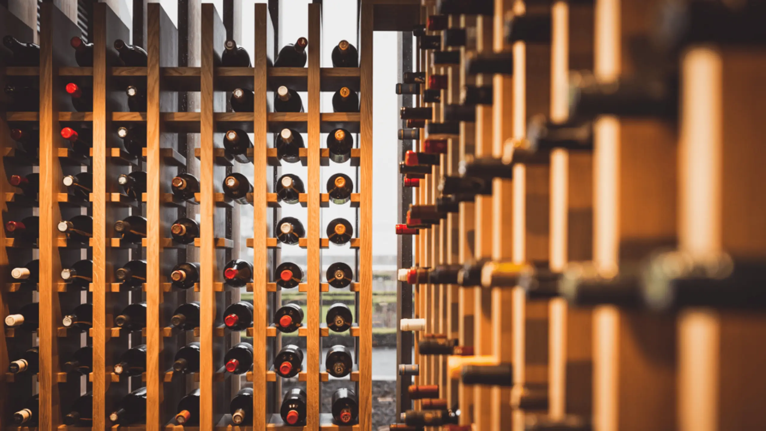 Autumn wines Our recommendations