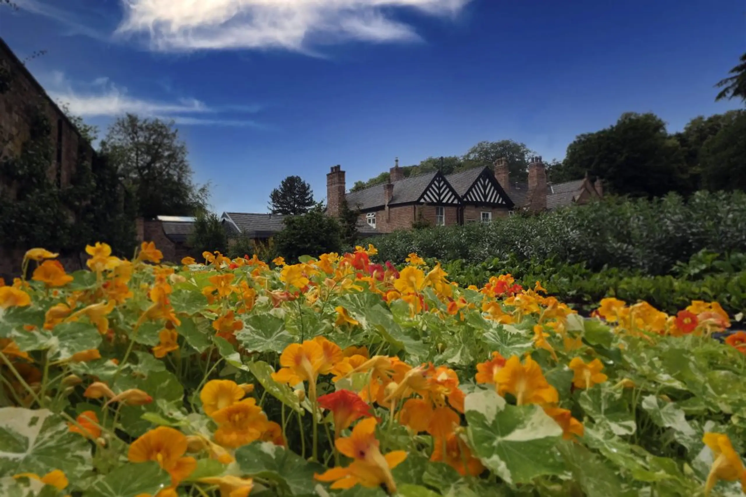 Castle Fine Art At Moor Hall