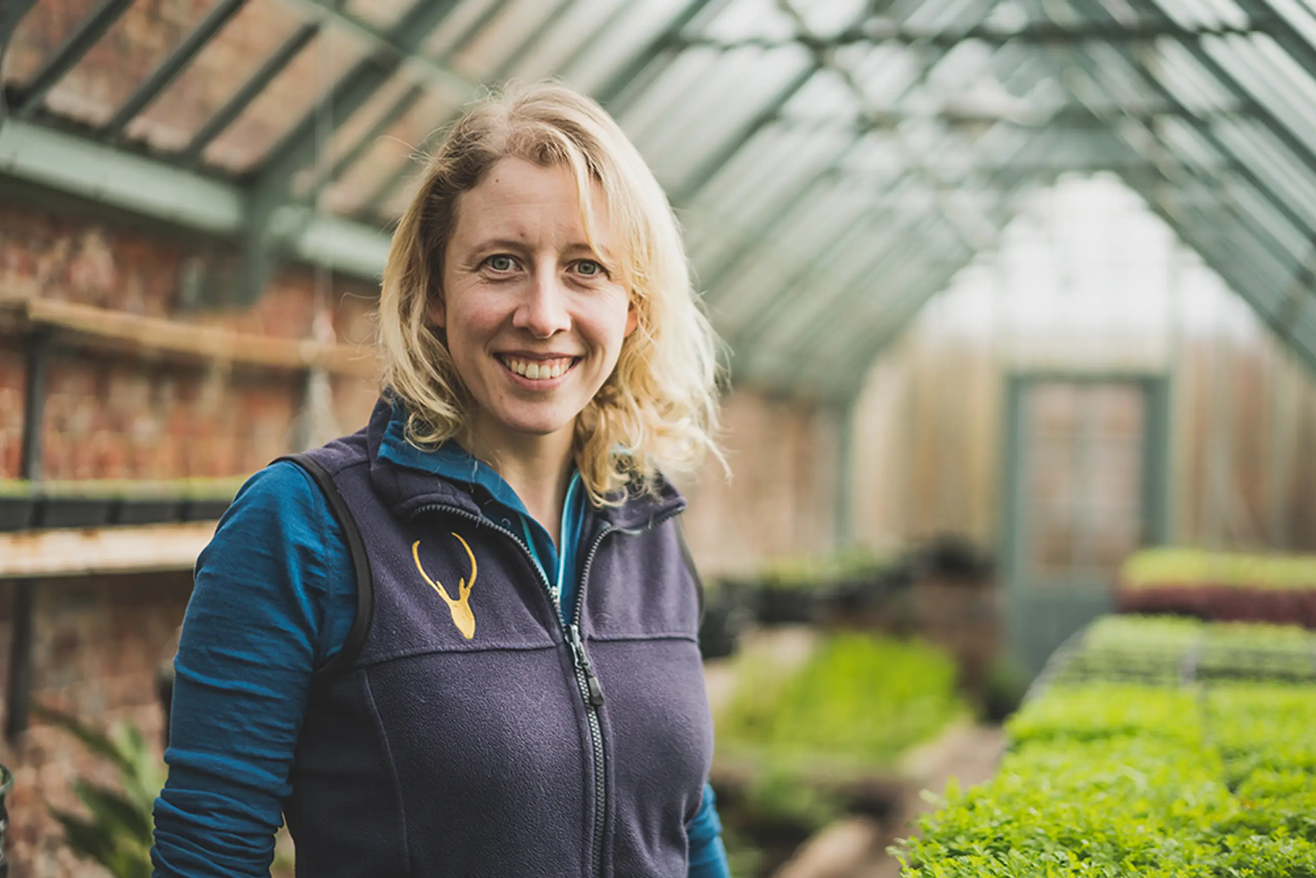 Make the most of May Growing your own whilst staying at home