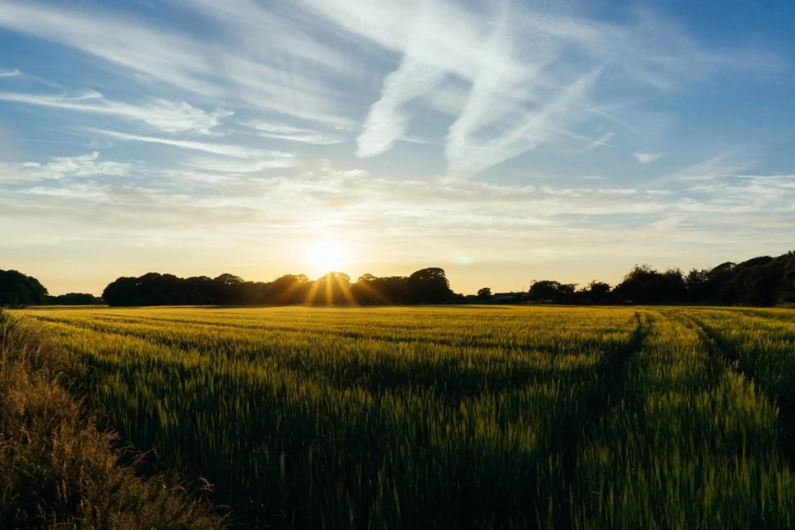 The year of the UK staycation. How to have a holiday at home.