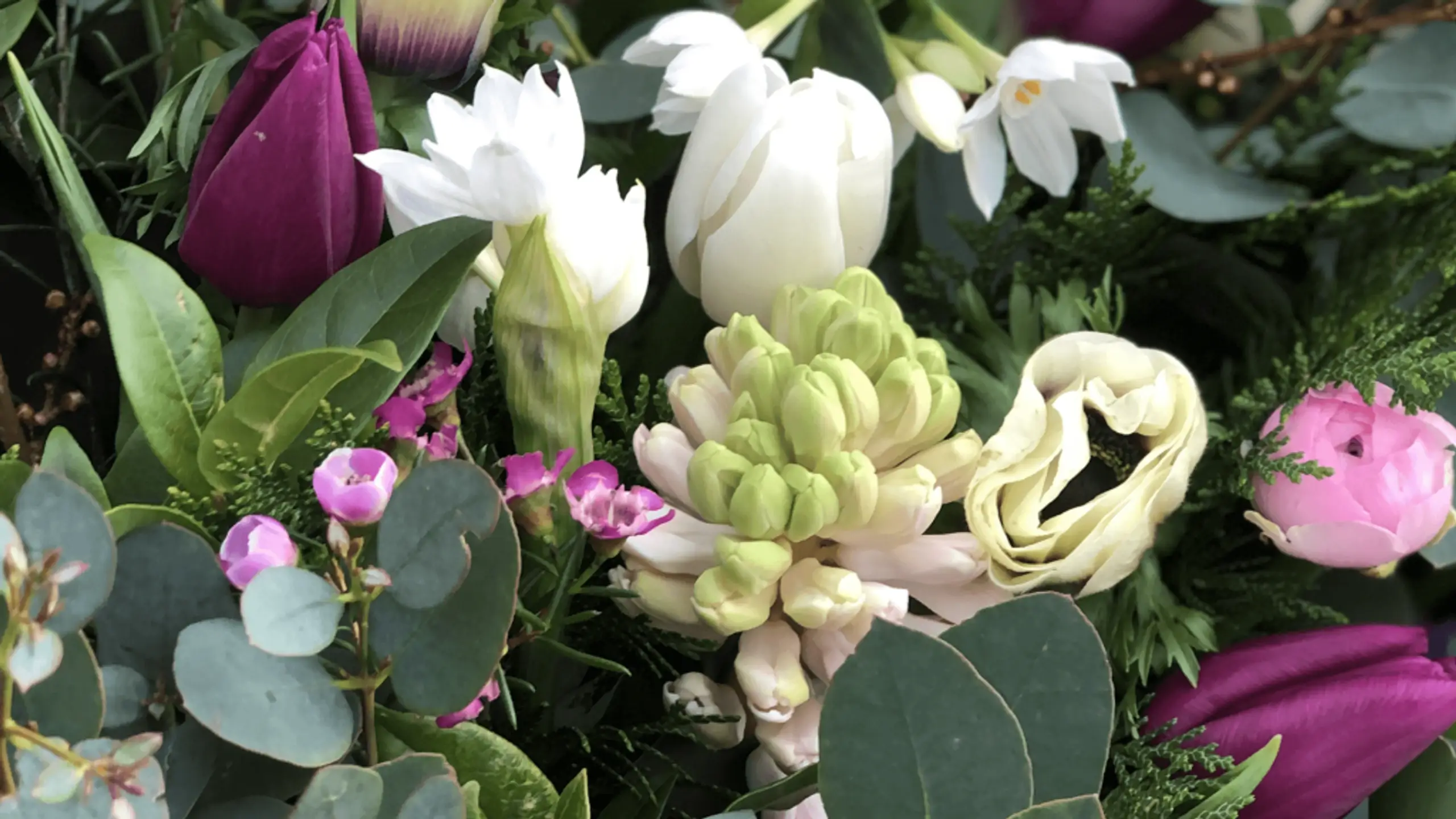 Sustainable Flowers for February