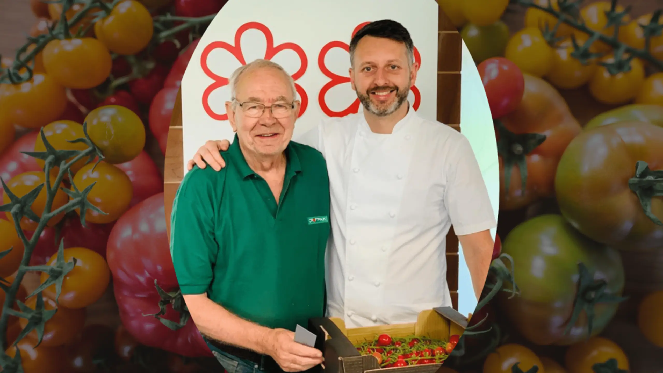 British Tomato Fortnight  Meet the Grower