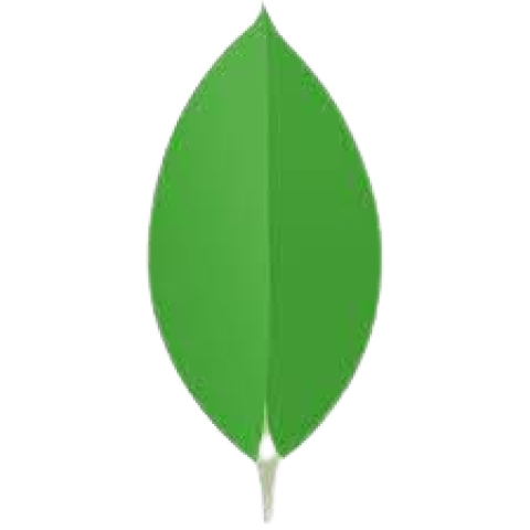 MongoDB
