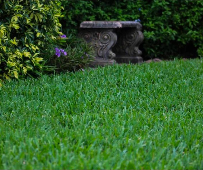 Scotts® ProVista™–Benefits of a ProVista™ Lawn (Professionals