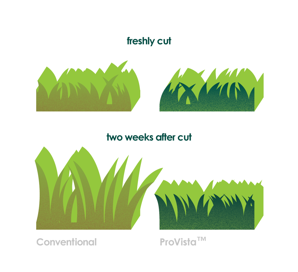 Scotts® ProVista™–Benefits of a ProVista™ Lawn (Professionals