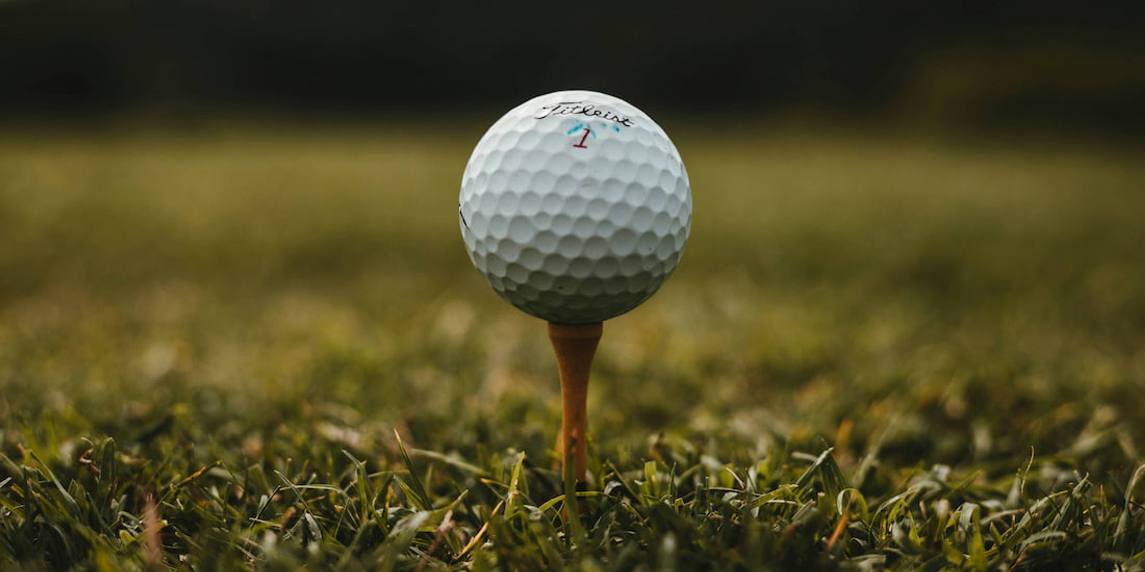 Golf’s Gladiators