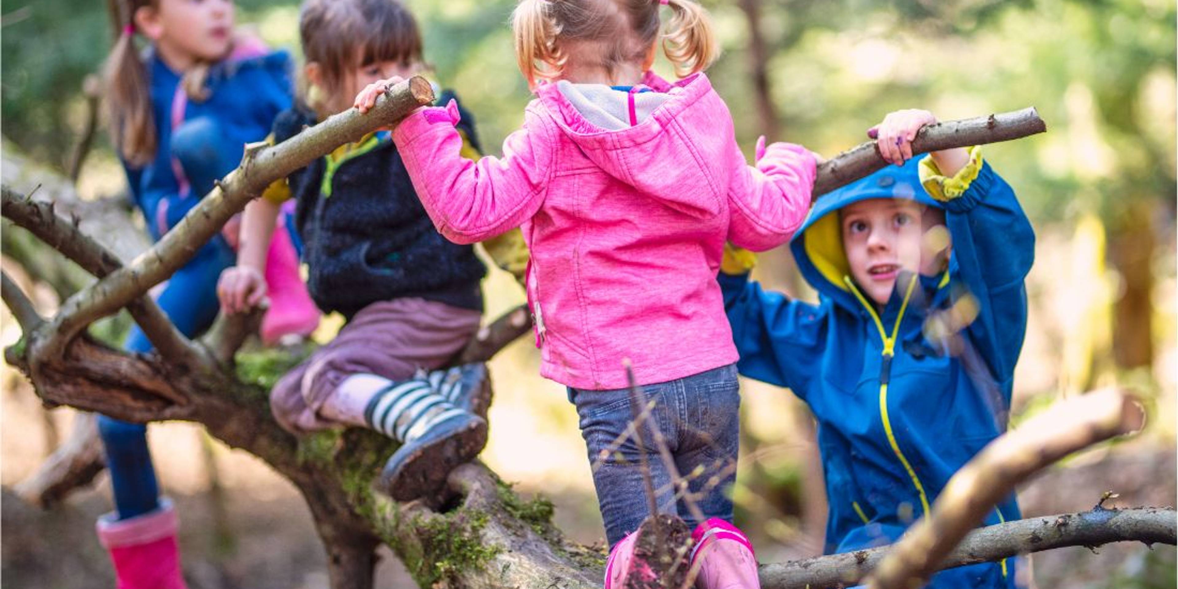 Encouraging adventurous play in the preschool years