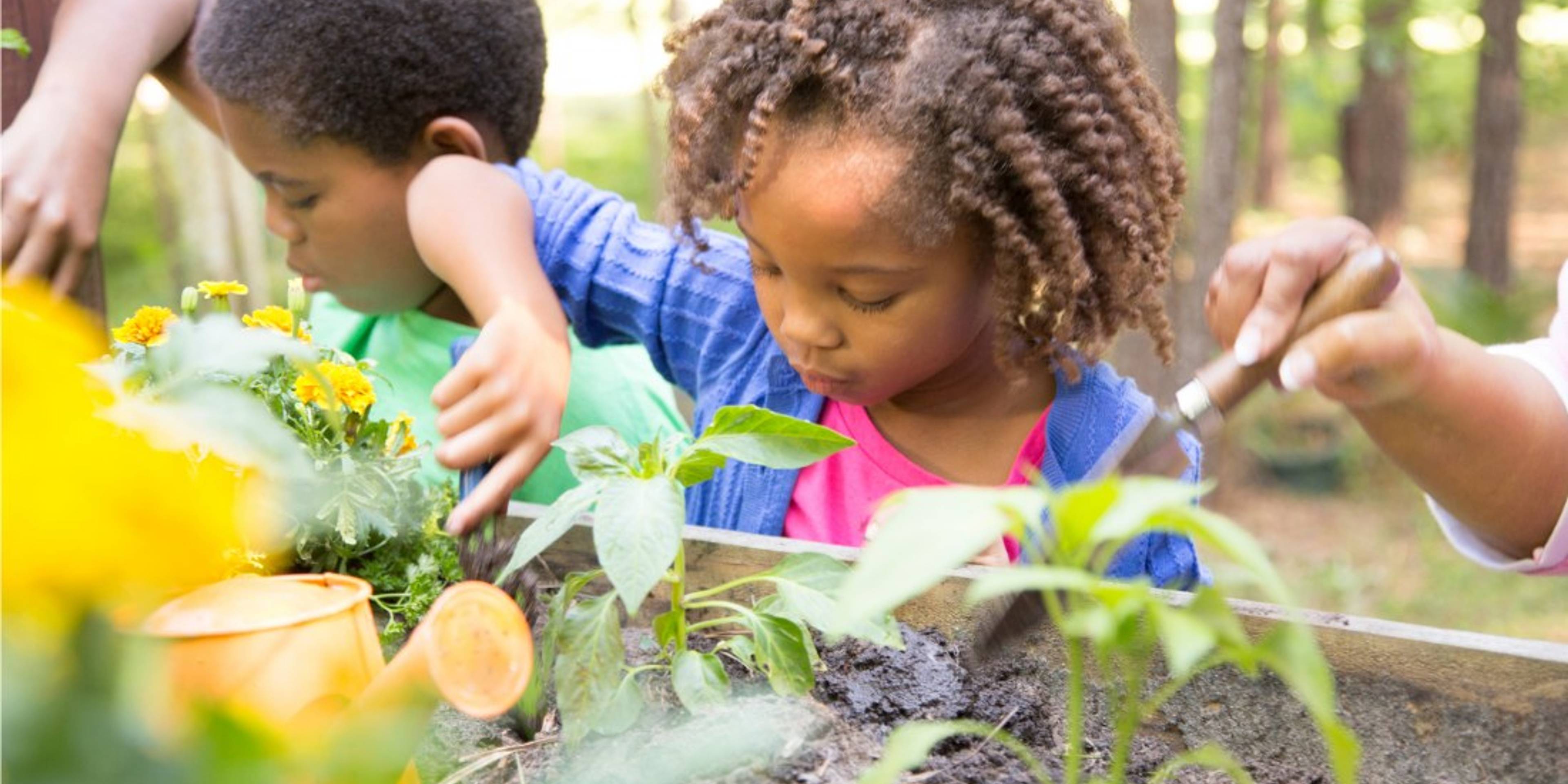 What are the benefits of outdoor learning?