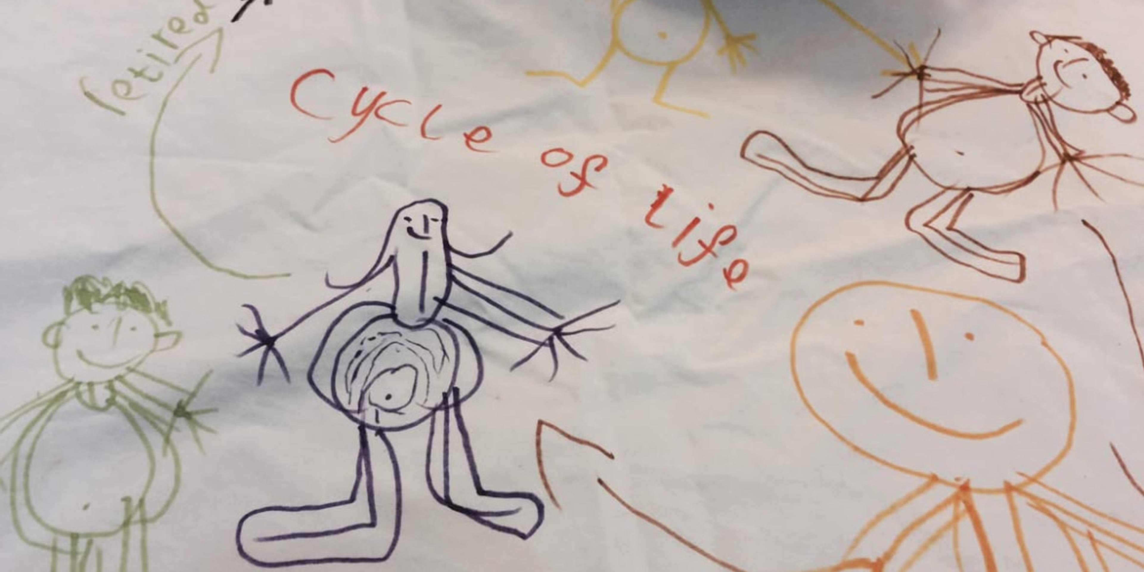 Cycle of Life