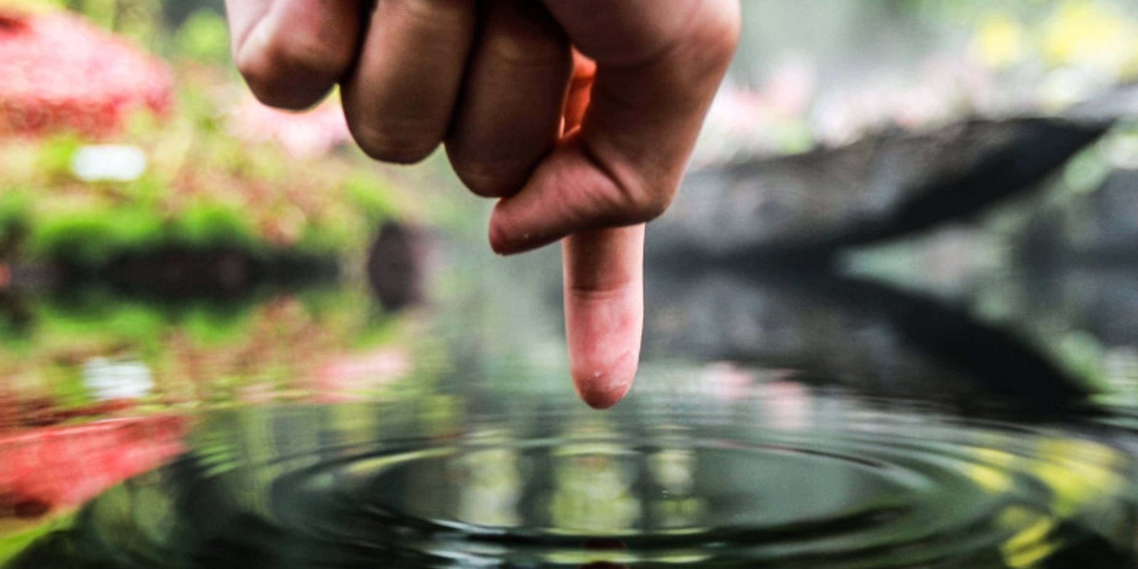 Wednesday Wisdom | Ripple Effects | Tooled Up Education