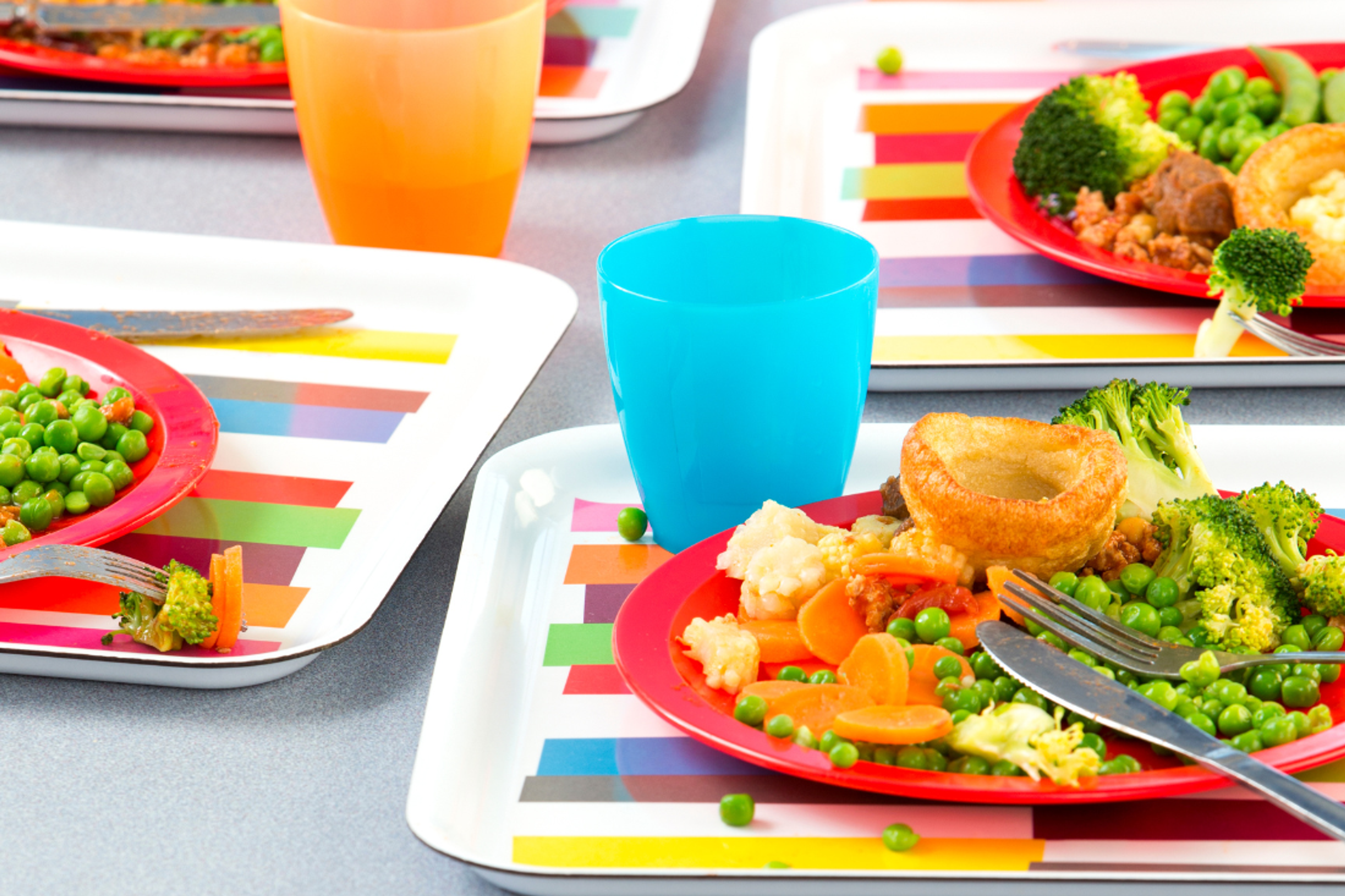 Food, Facts and Balance: What the Evidence Says About School Lunches