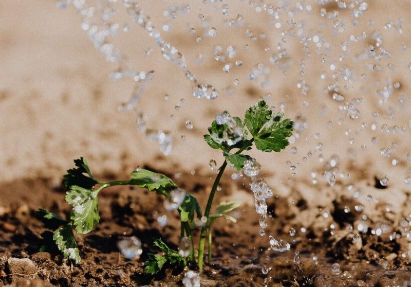 The 10 Rs of Resilience