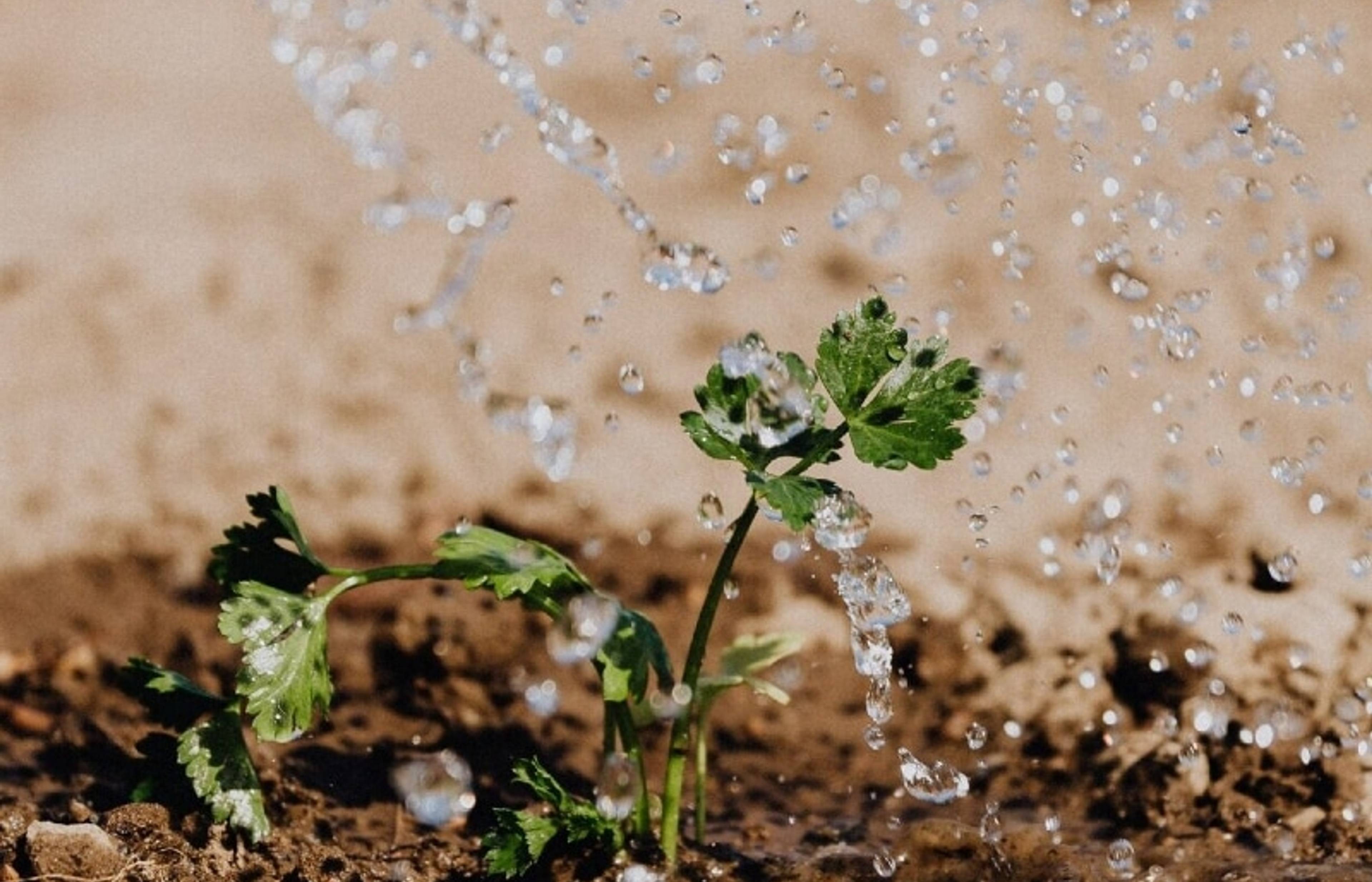 The 10 Rs of Resilience