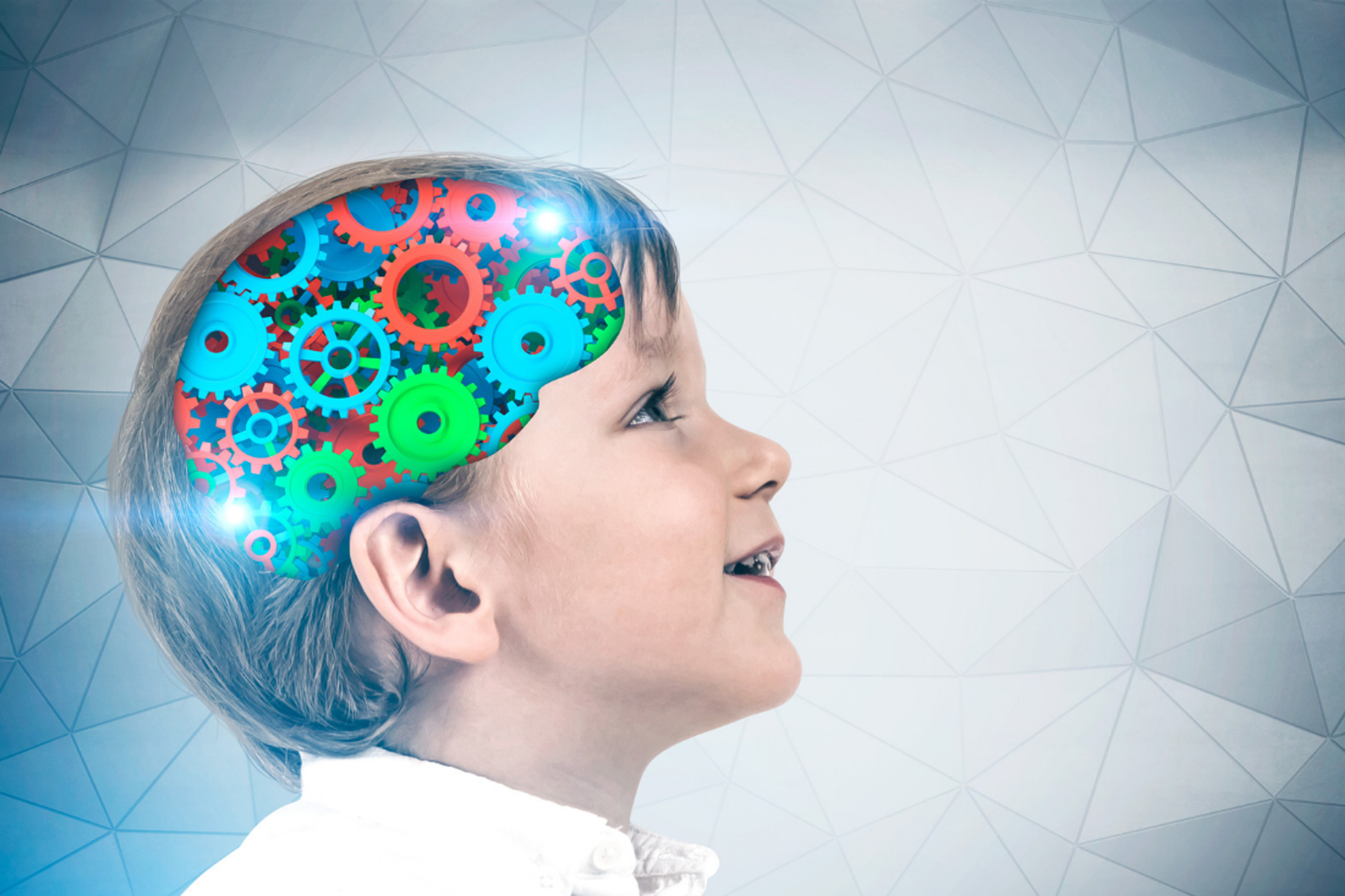 Childhood, Learning and the Developing Brain: What Happens in the Primary School Years?