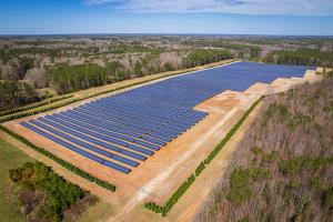 Aerial shot of solar panels in field