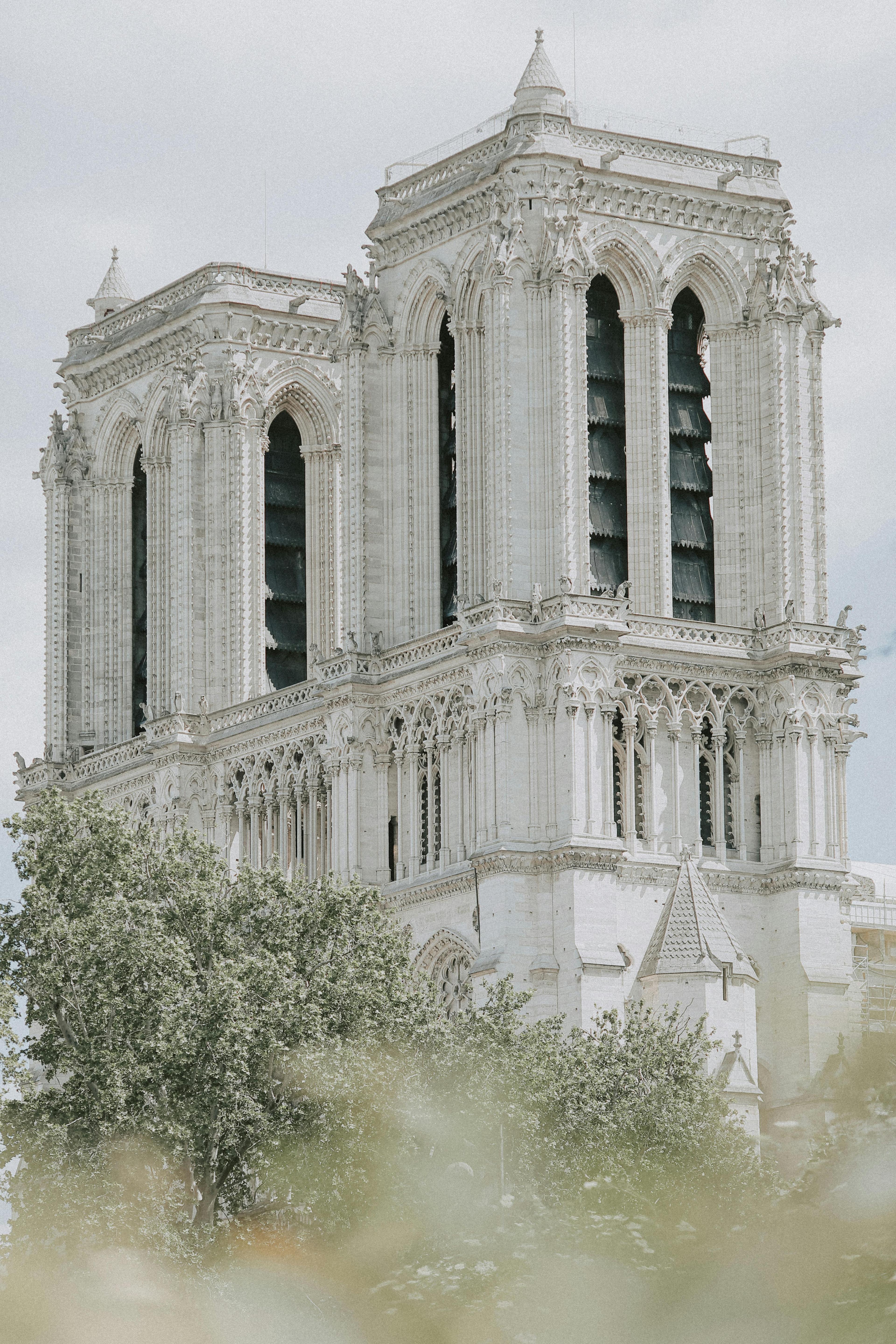 Paris Notre Dame Cathedral Guided Tour | Early Access | Licensed Guide thumbnail 2